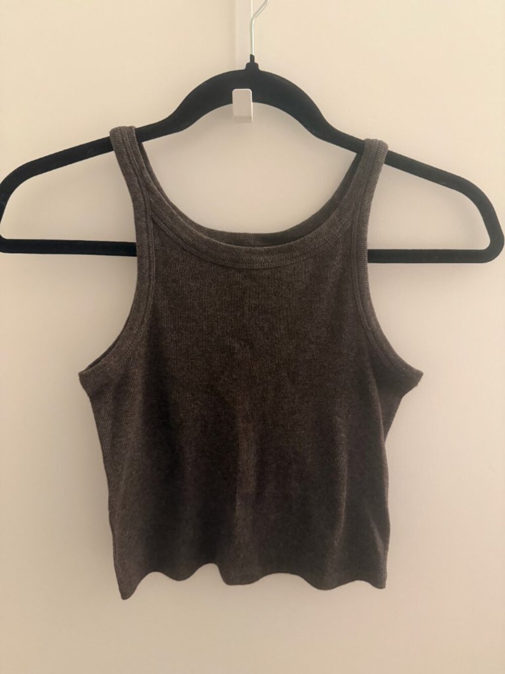 Everlane Brown Cropped Tank Top Size Small